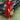 V-neck Raglan Sleeve Single-breasted Dress - MVRX