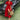 V-neck Raglan Sleeve Single-breasted Dress - MVRX