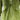 Coat Wide Leg Pants Suit - MVRX