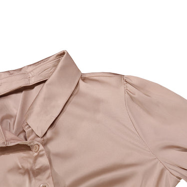 Long Sleeve Lapel Dress - MVRX