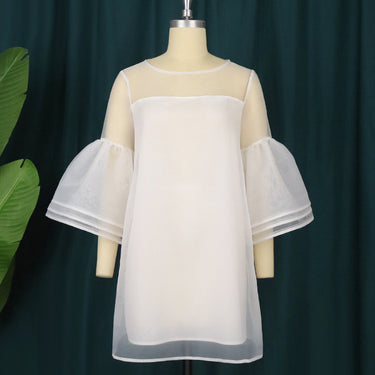 Sweet Mesh Dress - MVRX